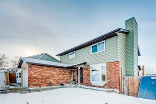 Photo 30: 68 Mountain Circle SE: Airdrie Detached for sale : MLS®# A2014475