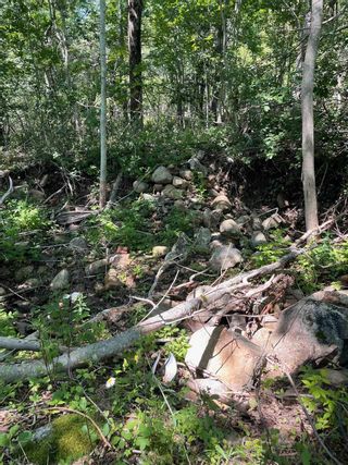 Photo 2: Old Lunenburg Road in First South: 405-Lunenburg County Vacant Land for sale (South Shore)  : MLS®# 202218196