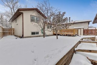Photo 31: 28 Mckerrell Crescent SE in Calgary: McKenzie Lake Detached for sale : MLS®# A1049052