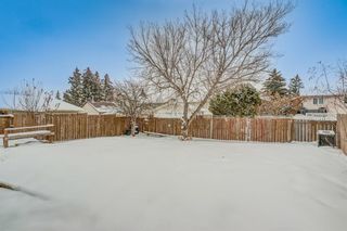 Photo 39: 16 Millcrest Place SW in Calgary: Millrise Detached for sale : MLS®# A2022117