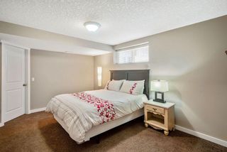 Photo 27: 101 Elgin Meadows Circle SE in Calgary: McKenzie Towne Detached for sale : MLS®# A2121708
