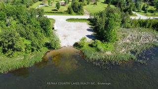 Photo 15: Lt 1 Island in Kawartha Lakes: Rural Carden Property for sale : MLS®# X6745966