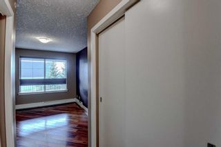 Photo 18: 449 35 Richard Court SW in Calgary: Lincoln Park Apartment for sale : MLS®# A2129003