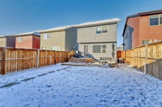 Photo 26: 473 Evanston Drive NW in Calgary: Evanston Detached for sale : MLS®# A1178198