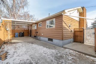 Photo 28: 4703 43 Street SW in Calgary: Glamorgan Detached for sale : MLS®# A2022565