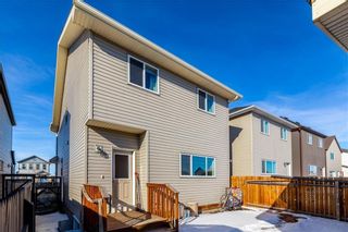 Photo 32: 360 COPPERPOND Boulevard SE in Calgary: Copperfield Detached for sale : MLS®# C4233493