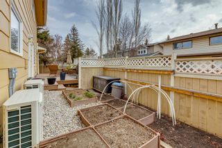 Photo 35: 10416 Willowcrest Road SE in Calgary: Willow Park Detached for sale : MLS®# A2041073