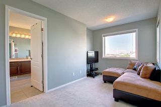 Photo 27: 253 Edgebrook Grove NW in Calgary: Edgemont Detached for sale : MLS®# A1252391