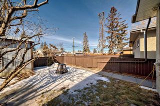Photo 36: 1709 50 Street SE in Calgary: Forest Lawn Semi Detached (Half Duplex) for sale : MLS®# A2115014