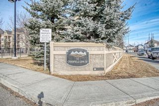 Photo 2: 333 52 Cranfield Link SE in Calgary: Cranston Apartment for sale : MLS®# A1181186