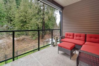 Photo 9: 7 520 HOT SPRINGS Road: Harrison Hot Springs Townhouse for sale in "Branches by the Lake" (Harrison Lake)  : MLS®# R2855083