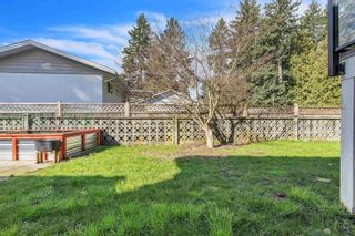 Photo 34: 33237 LYNN Avenue in Abbotsford: Central Abbotsford House for sale : MLS®# R2863220