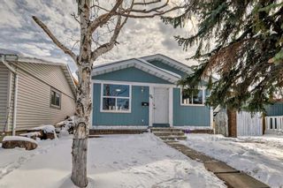 Photo 32: 176 Dovely Crescent SE in Calgary: Dover Detached for sale : MLS®# A2118047