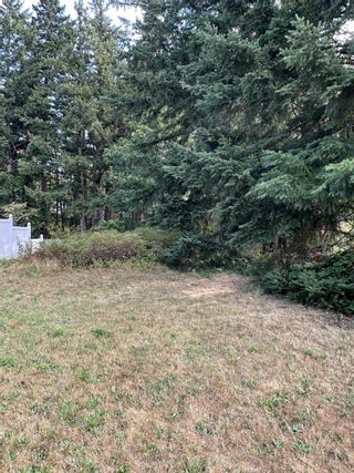Photo 8: 365 7TH AVENUE in Hope: Vacant Land for sale : MLS®# R2810151