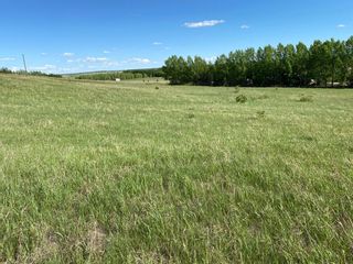 Photo 17: Lot "C" Township Rd 264 Camden Lane in Rural Rocky View County: Rural Rocky View MD Residential Land for sale : MLS®# A1119886