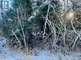 Photo 10: Lot Route 16 in Melrose: Vacant Land for sale : MLS®# M157122