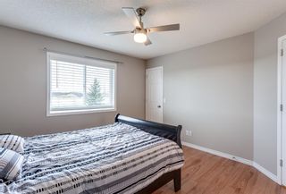Photo 15: 172 Stonegate Crescent NW: Airdrie Detached for sale : MLS®# A1219020