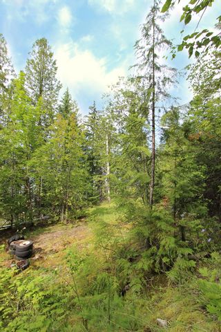 Photo 17: 3462 Eagle Bay Road in Blind Bay: Land Only for sale : MLS®# 10212583