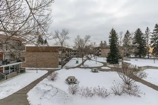 Photo 6: 32B 231 Heritage Drive SE in Calgary: Acadia Apartment for sale : MLS®# A1172862