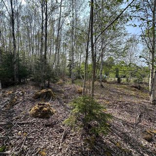 Photo 13: Lot 5 Raspberry Court in Italy Cross: 405-Lunenburg County Vacant Land for sale (South Shore)  : MLS®# 202309674