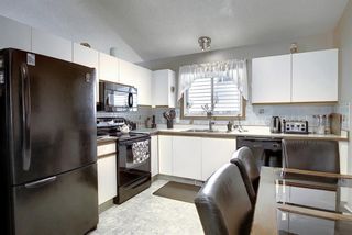 Photo 3: 305 Martinwood Place NE in Calgary: Martindale Detached for sale : MLS®# A1038589