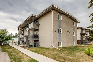 Photo 14: 10 609 67 Avenue SW in Calgary: Kingsland Apartment for sale : MLS®# A1246547