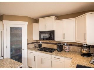 Photo 13: 34 CHAPALA Court SE in Calgary: Chaparral House for sale : MLS®# C4108128
