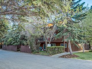 Photo 28: 102 1001 68 Avenue SW in Calgary: Kelvin Grove Apartment for sale : MLS®# C4221985