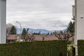 Photo 23: 101 19122 122 Avenue in Pitt Meadows: Central Meadows Condo for sale in "EDGEWOOD MANOR" : MLS®# R2653849