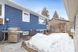 Photo 41: 135 Parkvalley Drive SE in Calgary: Parkland Detached for sale : MLS®# A2034937