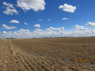 Photo 3: Southeast Twp 560 RR 252: Rural Sturgeon County Rural Land/Vacant Lot for sale : MLS®# E4223208