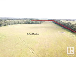 Photo 11: 50503 Rge Road 23: Rural Leduc County Rural Land/Vacant Lot for sale : MLS®# E4306912