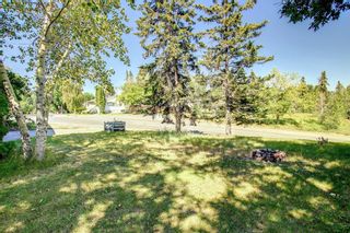 Photo 46: 2003 62 Avenue SE in Calgary: Ogden Detached for sale : MLS®# A2113594