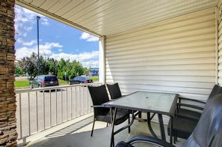 Photo 20: 124 8200 4 Street NE in Calgary: Beddington Heights Apartment for sale : MLS®# A2017788