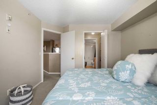 Photo 22: 2316 2600 66 Street NE in Calgary: Pineridge Apartment for sale : MLS®# A2122941