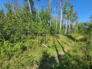 Photo 5: 53 Viking Trail in Gimli Rm: Vacant Land for sale : MLS®# 202405557