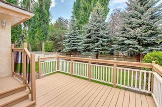 Photo 9: 118 Mountain Park Drive SE in Calgary: McKenzie Lake Detached for sale : MLS®# A1235709