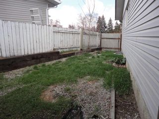 Photo 43: 31 Dovely Way SE in Calgary: Dover Detached for sale : MLS®# A2128771