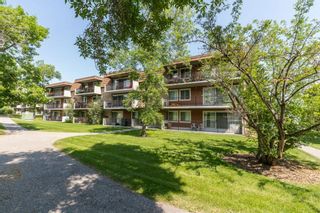 Photo 1: #86E 231 HERITAGE Drive SE in Calgary: Acadia Apartment for sale : MLS®# A1019097
