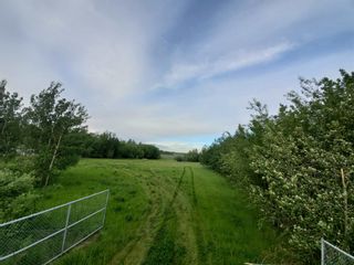 Photo 2: 53145 RGE RD 223: Rural Strathcona County Rural Land/Vacant Lot for sale : MLS®# E4272656