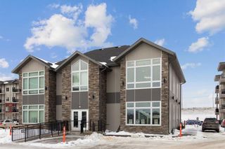 Photo 27: 215 80 Philip Lee Drive in Winnipeg: Crocus Meadows Condominium for sale (3K)  : MLS®# 202304280