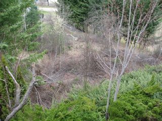 Photo 16: Lot 58 Ta Lana Trail in Sorrento: Blind Bay Land Only for sale (Shuswap)  : MLS®# 10250097
