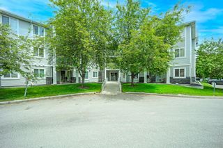 Photo 2: 212 3212 Valleyview Park SE in Calgary: Dover Apartment for sale : MLS®# A1116209