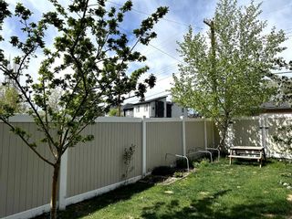 Photo 40: 4538 Montgomery Avenue NW in Calgary: Montgomery Detached for sale : MLS®# A2131411
