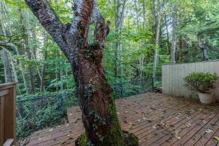 Photo 17: 815 WESTVIEW Crescent in North Vancouver: Upper Lonsdale Townhouse for sale in "Cypress Gardens" : MLS®# R2214681