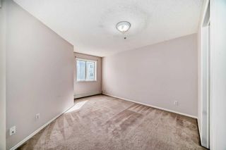 Photo 19: 310 270 Shawville Way SE in Calgary: Shawnessy Apartment for sale : MLS®# A2130341