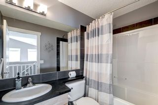 Photo 23: 107 Copperstone Boulevard SE in Calgary: Copperfield Detached for sale : MLS®# A1181475