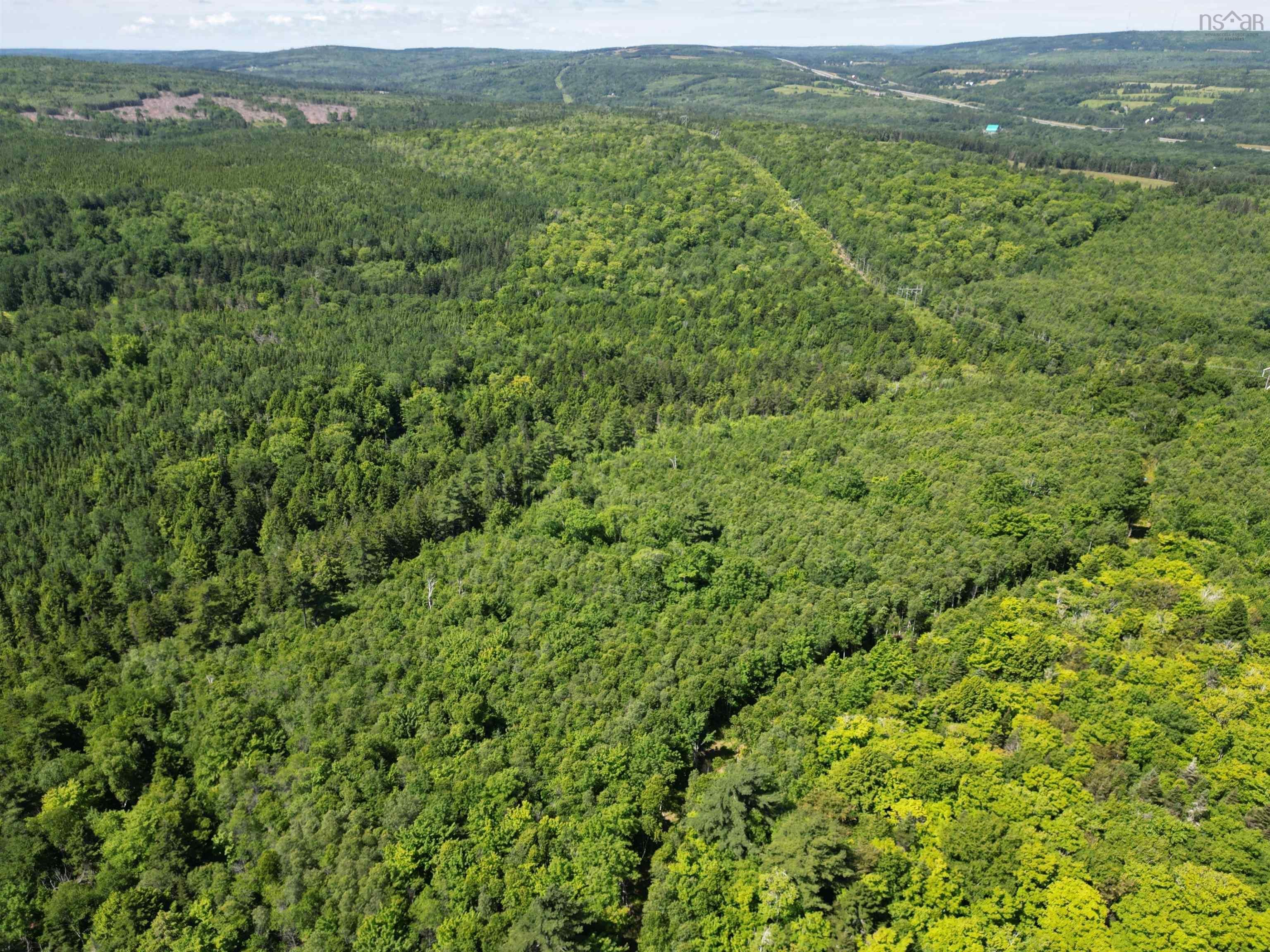Main Photo: Lot Lovat Road in Salt Springs: 108-Rural Pictou County Vacant Land for sale (Northern Region)  : MLS®# 202216576