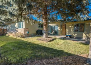 Photo 29: 52 Sunmount Crescent SE in Calgary: Sundance Detached for sale : MLS®# A1157588