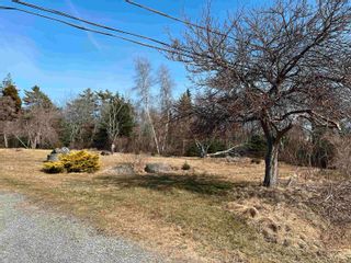 Photo 8: 5720 Highway 3 in East Jordan: 407-Shelburne County Vacant Land for sale (South Shore)  : MLS®# 202404710